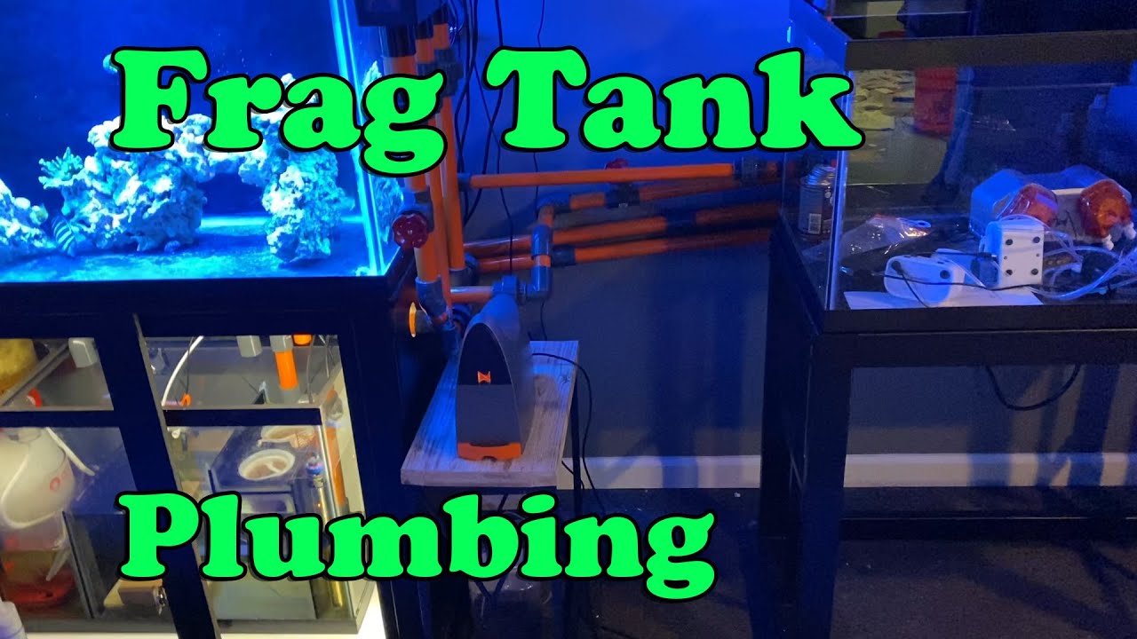 How To Plumb A Frag Tank Into A Display
