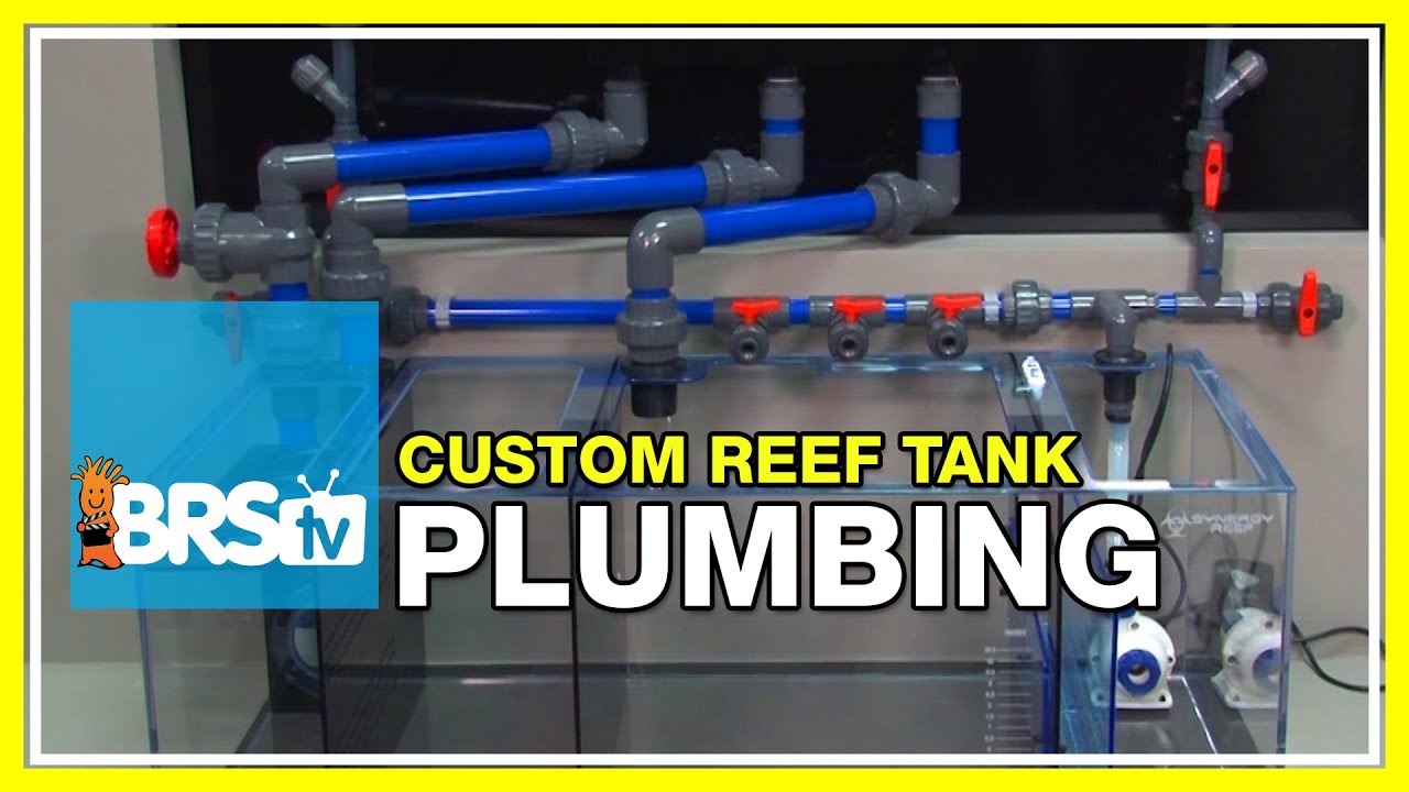 How To Plumb An Overflow For A Reef Tank: The Ultimate Guide