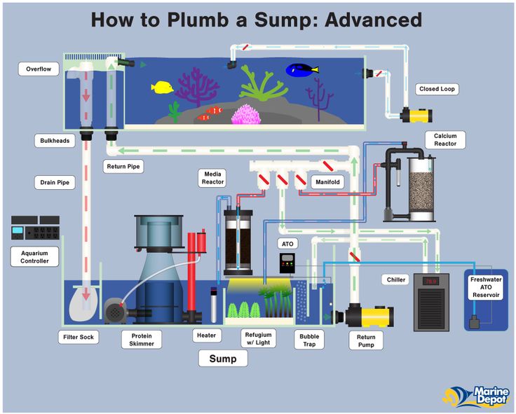 How To Plumb An Aquarium For A Sump Filter: The Ultimate Guide