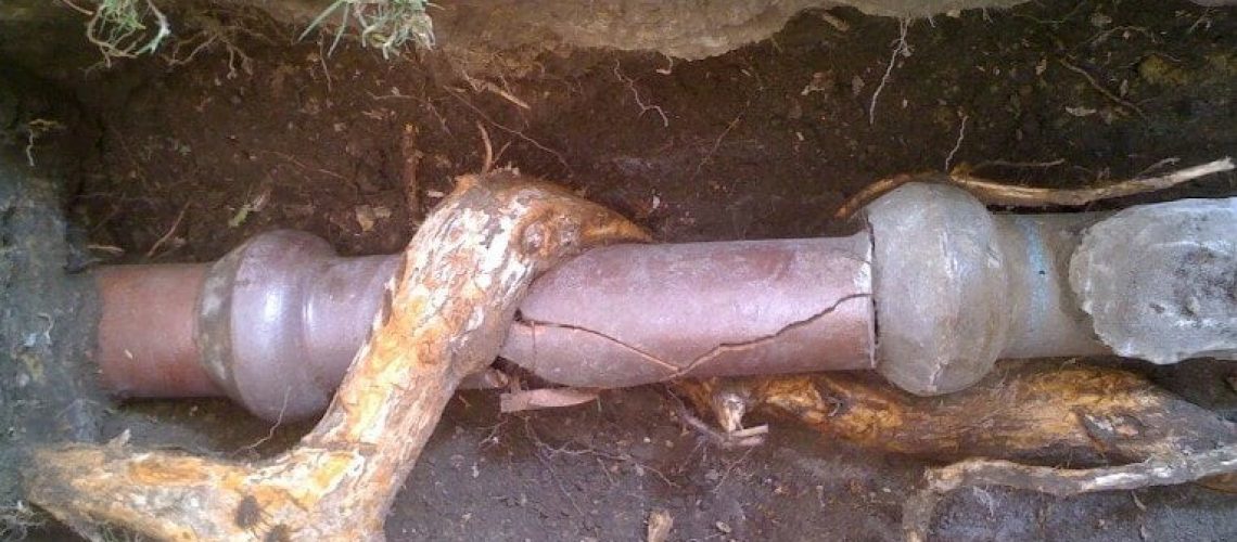How To Remove A Root From A Plumbing Pipe: The Ultimate Guide
