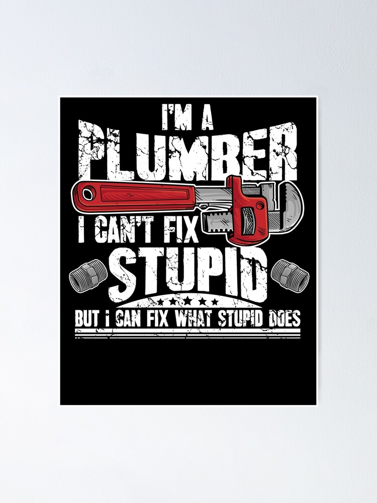 If I Knew Something About Plumbing I Would Have Fixed