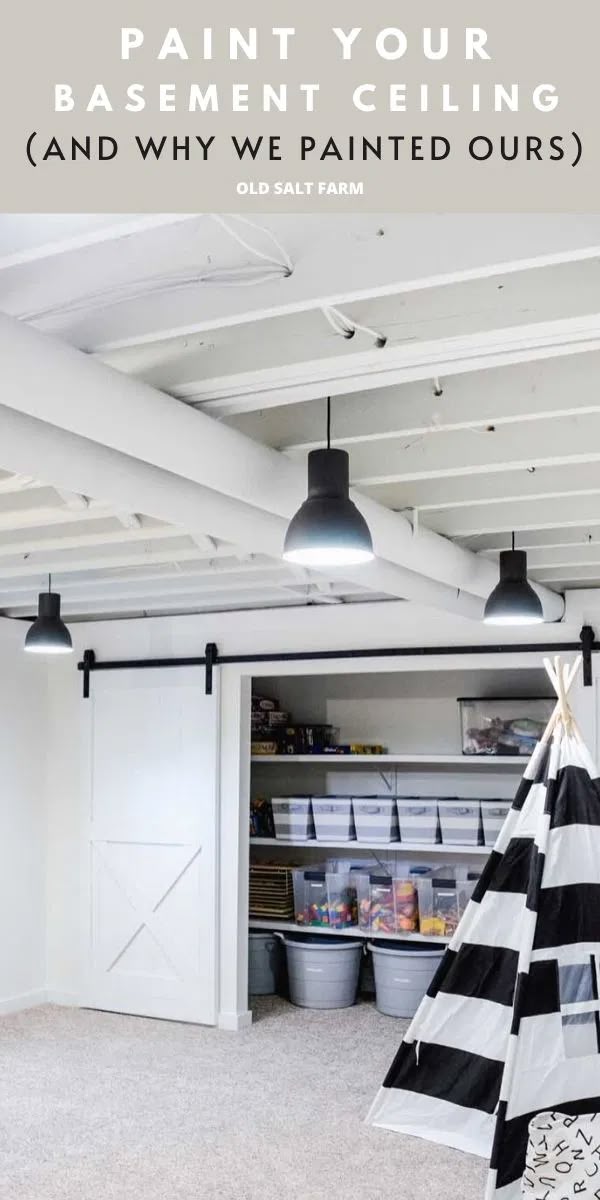 If Putting Ceiling In Basement Should Replace Old Plumbing?