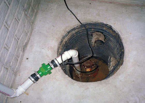 Is Drain Flies In Sump Pump A Plumbing Problem?