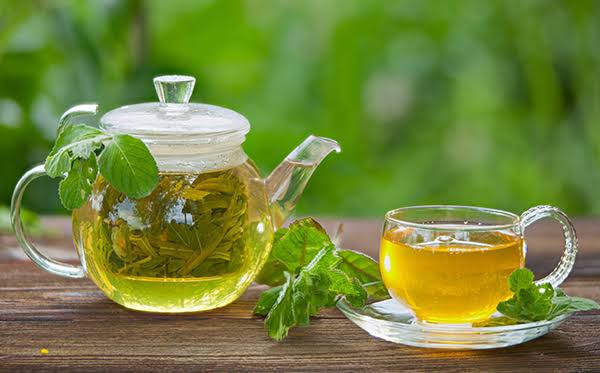 Is Green Tea Good To Plumb Up Your Veins?