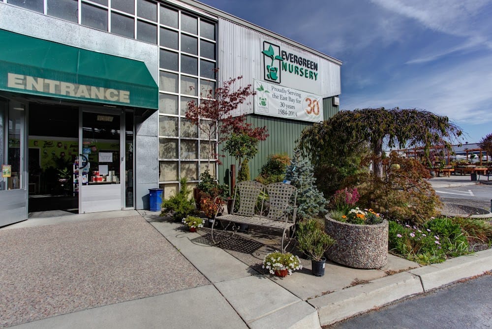 Jc Green Plumbing Inc: San Leandro’s Trusted Plumber on Preda St
