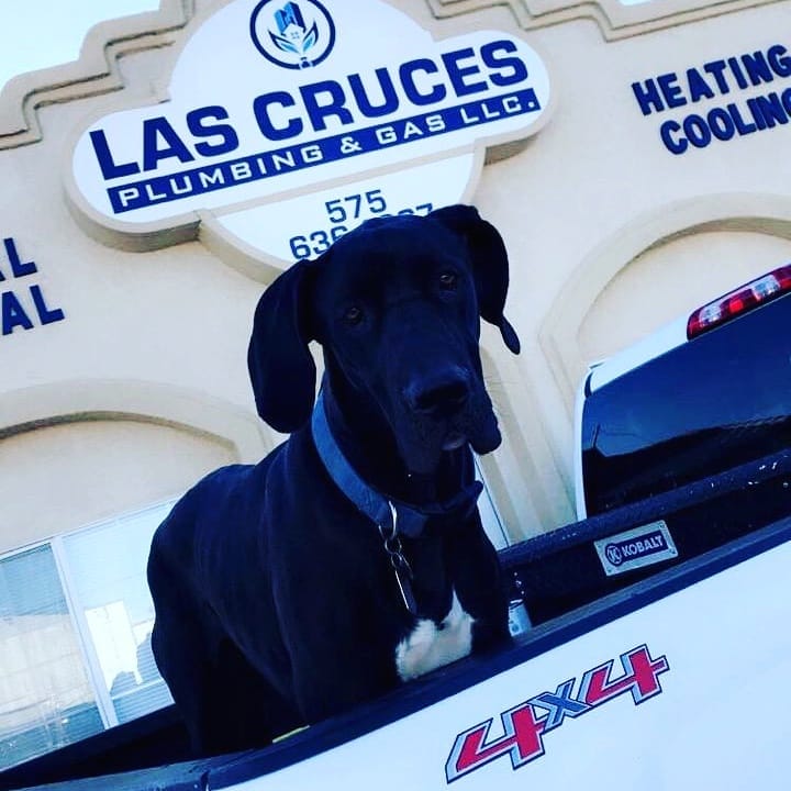 Las Cruces Plumbing & Gas LLC: Top NM Service Guide