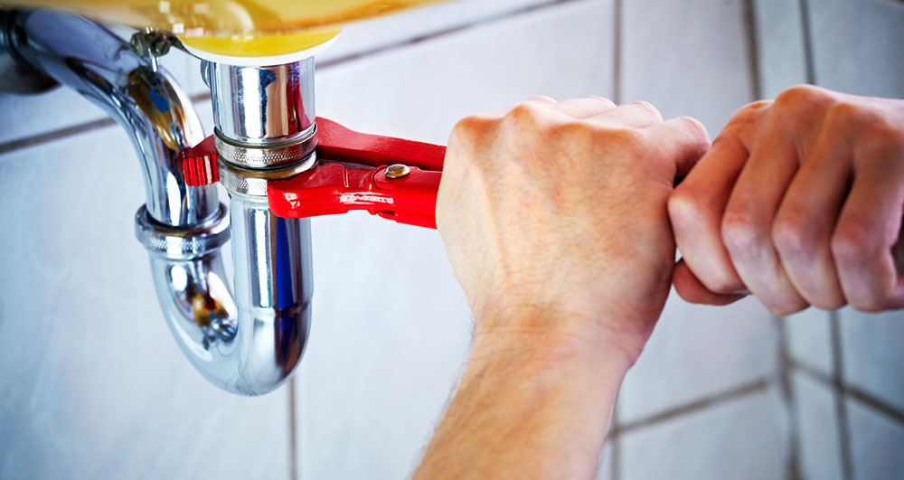 Lee Olaeta Plumbing: Petaluma’s Trusted Local Expert