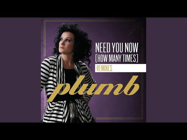 Need You Now: How Many Times Did Dave Audé Remix Plumb?