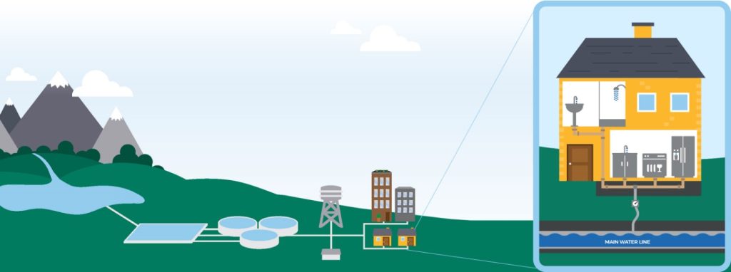 Opportunistic Premise Plumbing Pathogen Control In Drinking Water Systems