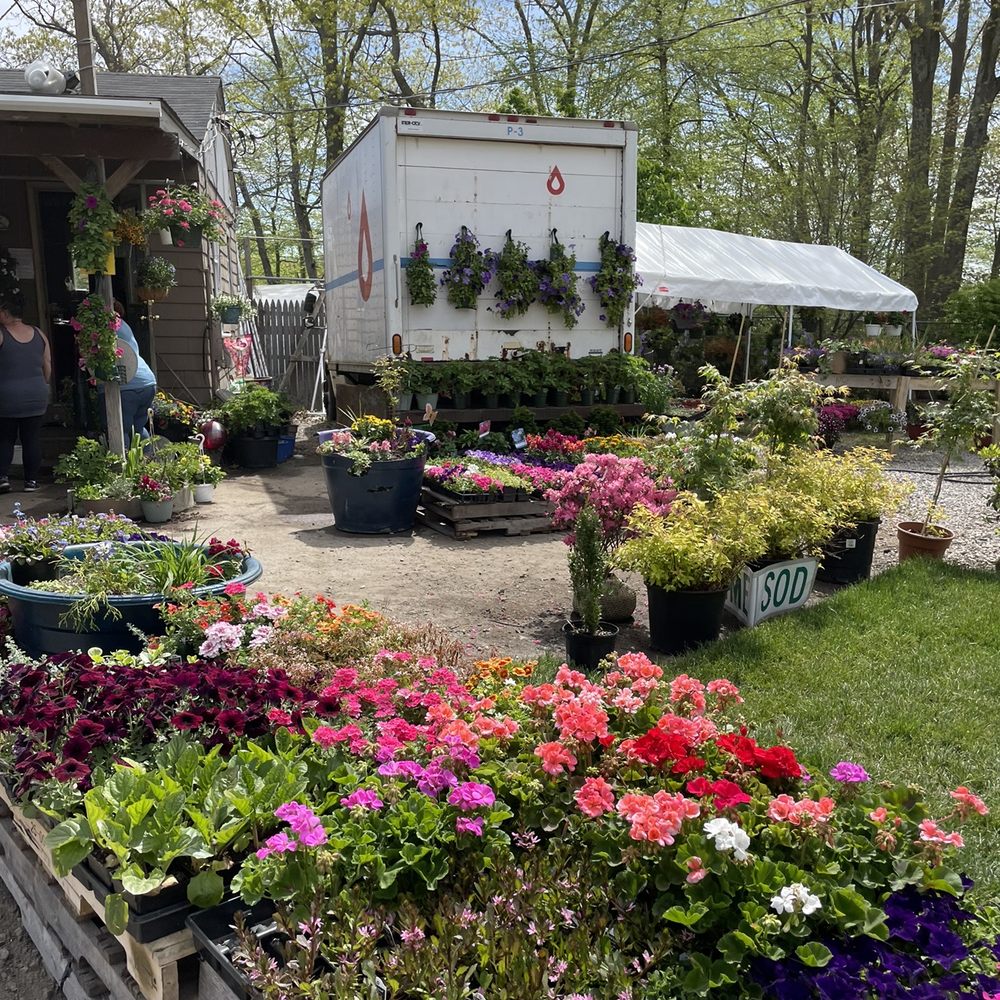 Plumb Farms Nursery: Your Guide to Cheshire Road’s Floral Gem