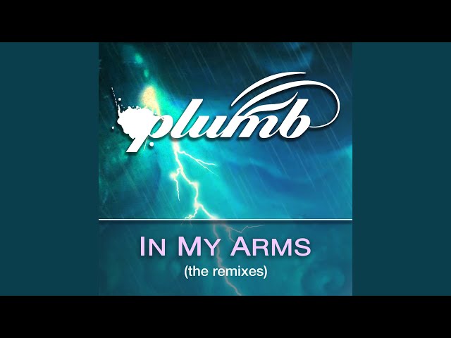 Plumb In My Arms Bronleewe & Bose Radio Edit: The Ultimate Guide