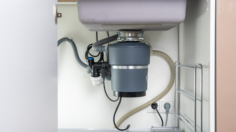 Plumber Told Me To Pour Bleach Down The Disposal? Stop!