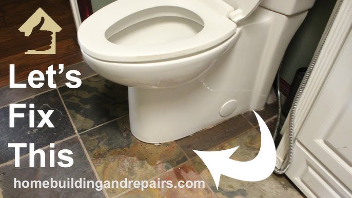 Toilet Backing Up? Fix Water Coming From Under Base