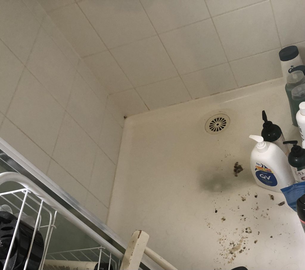 Reddit Does Plumber Care If Your Shower Is Dirty