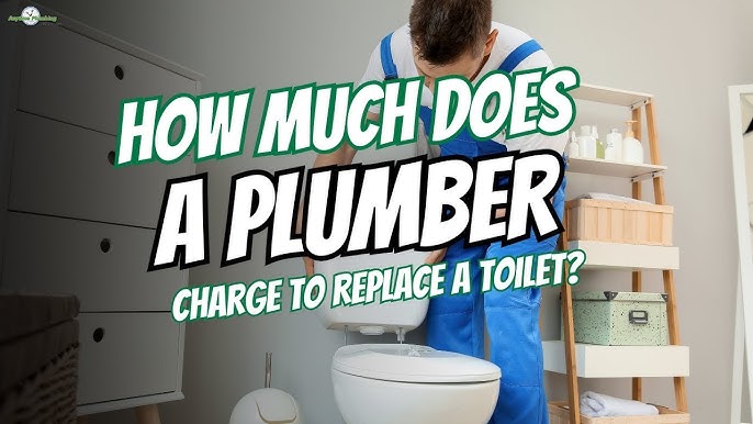 Scumbag Plumber Charges $230,000 For A Clogged Toilet?