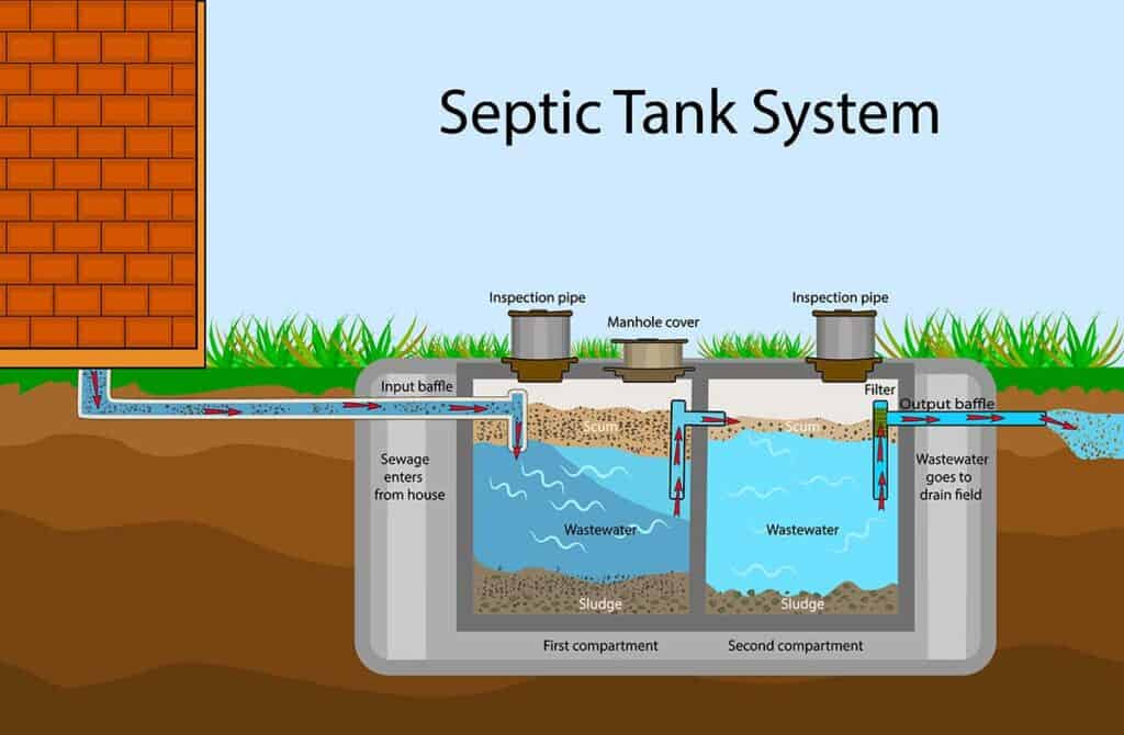 Should Only Black Water Go to Septic? The Truth