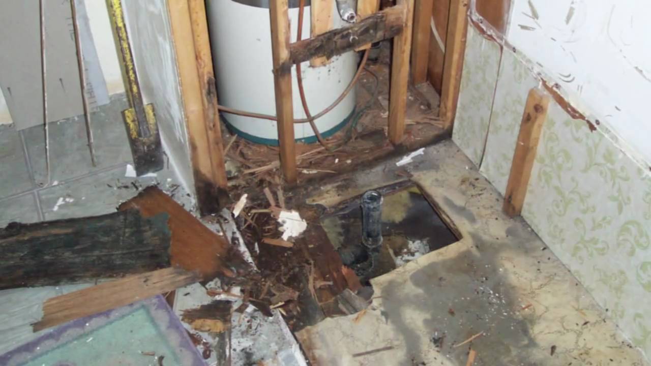 50s House Plumbing Rotting Behind Wall Bath Mice