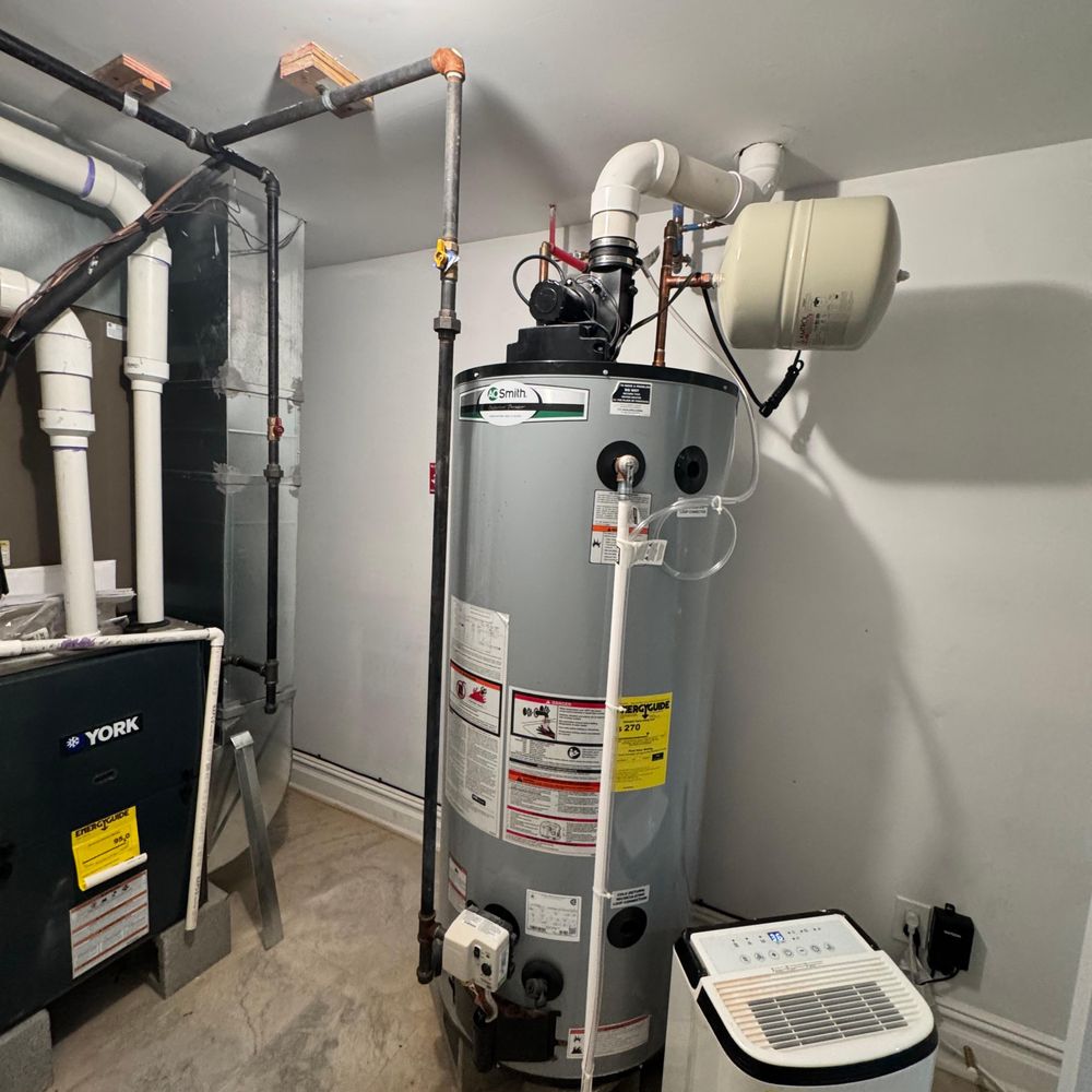 ABC, Ace, or Payless Plumbing Hazlet Review: Who Wins?