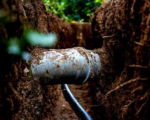 Above Ground Plumbing So Not To Disturb Trees