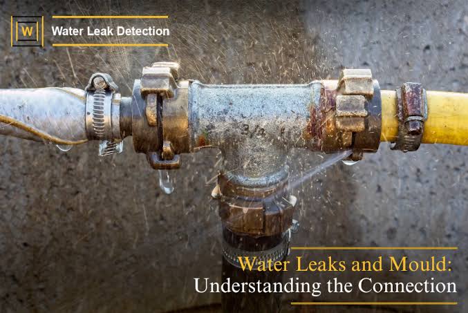 Small Wet Spots On Wall Where No Plumbing Behind? Fix It Now