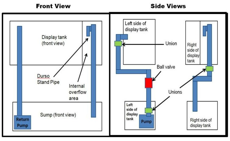 Step By Step Plumbing For 55 Gallon Reef Tank: Easy Guide