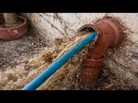 The Plumber Gets His Pipe Cleaned Apr 18 2016: Full Guide