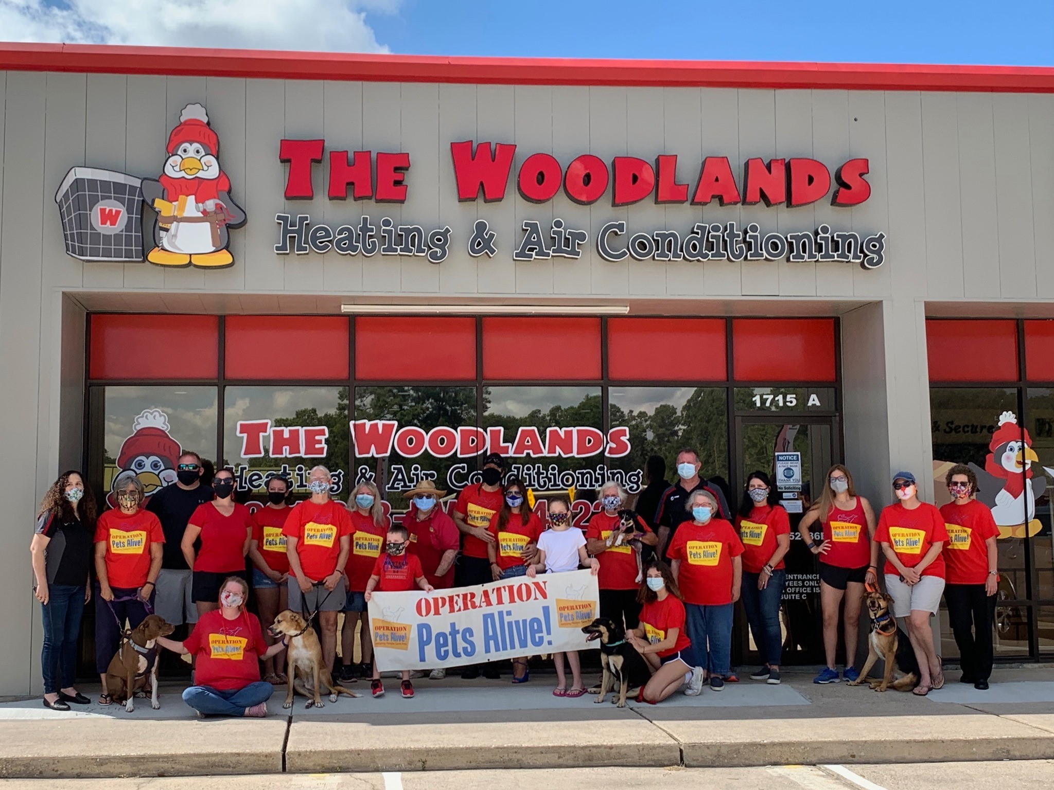 The Woodlands Plumbing Company Sawdust Road The Woodlands Tx: Expert Guide