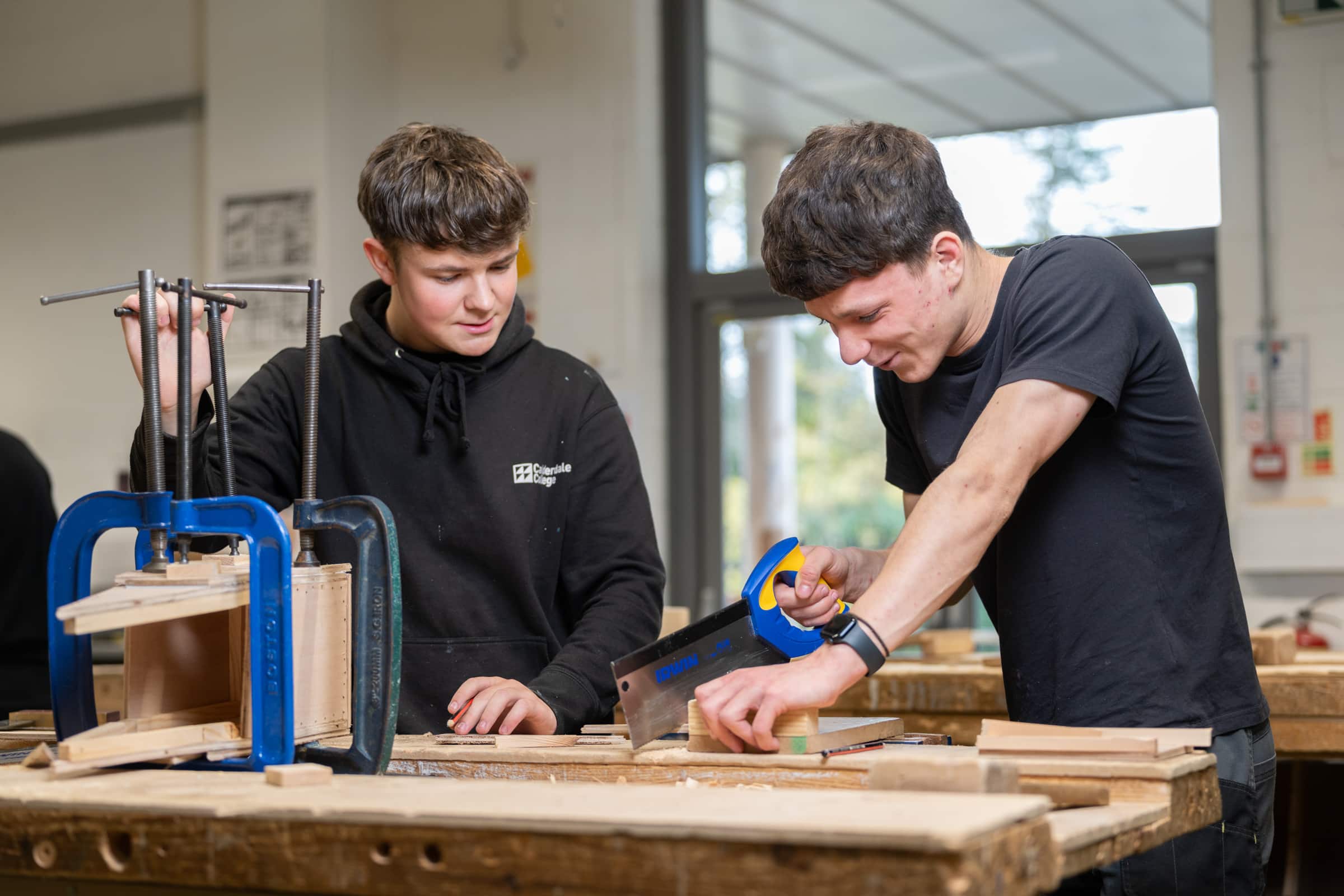 Carpentry, Plumbing & Electrical: The Essential Guide