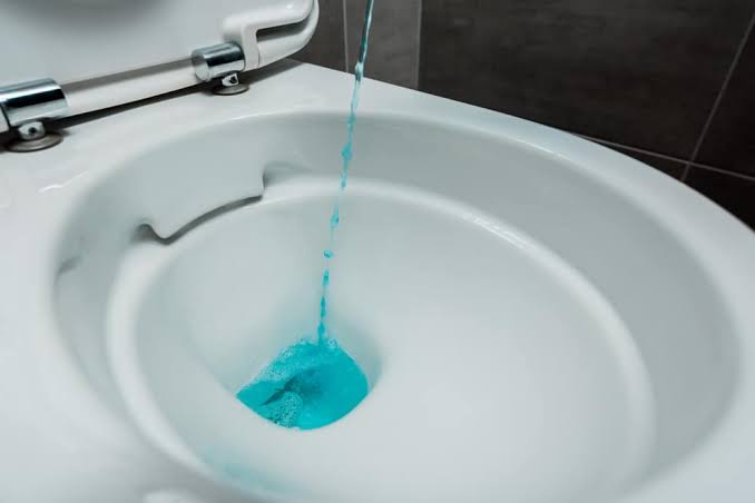 Can I Put Liquid Plumber In My Toilet
