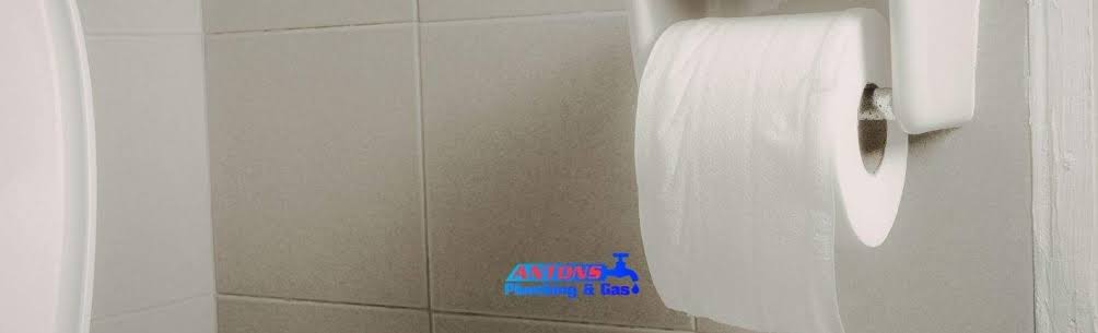 Can Liquid Plumber Desolve A Toilet Paper Roll
