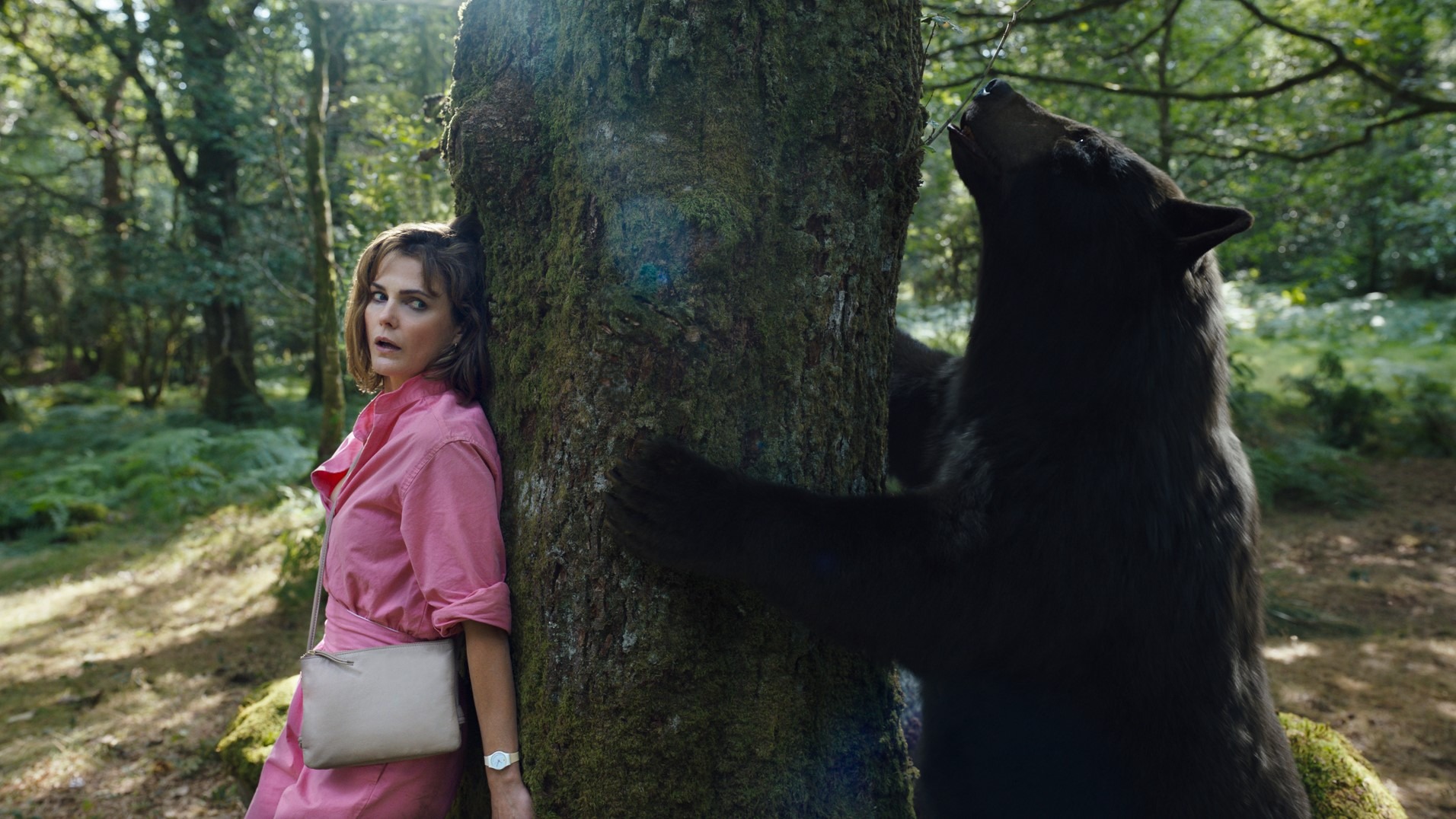 Cocaine Bear Showtimes: Landmark Atlantic Plumbing
