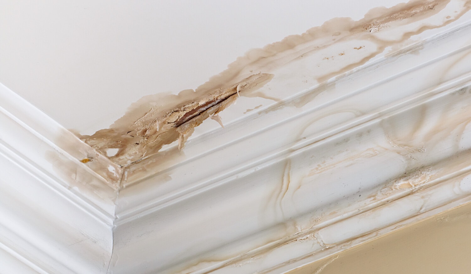 Condo Leak? Why Furnace Issues Stop Wall Painting